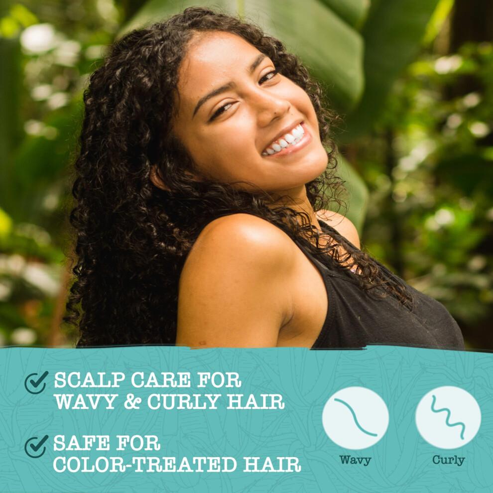 Maui Moisture Scalp Care Kl rendes Shampoo, Apfelessig-Shampoo f r lockiges Haar, spendet Feuchtigkeit und entfernt Ablagerungen auf der Kopfhaut