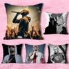 Квадратная наволочка для подушки с изображением рэпера E-Eminem, разных размеров, для декора автомобиля, дома, спальни, индивидуальный подарок на День святого Валентина