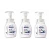 Kao Bioreguard Medicated Foaming Hand Soap Unscented Pump 250ml X 3 Piece Set