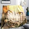 Naruto Anime Blanket, Warm Throw for Living Room, Great Gift for Anime Fans.chl