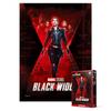 500 Piece Jigsaw Puzzle - Avengers Black Widow, Popular Korean Puzzle