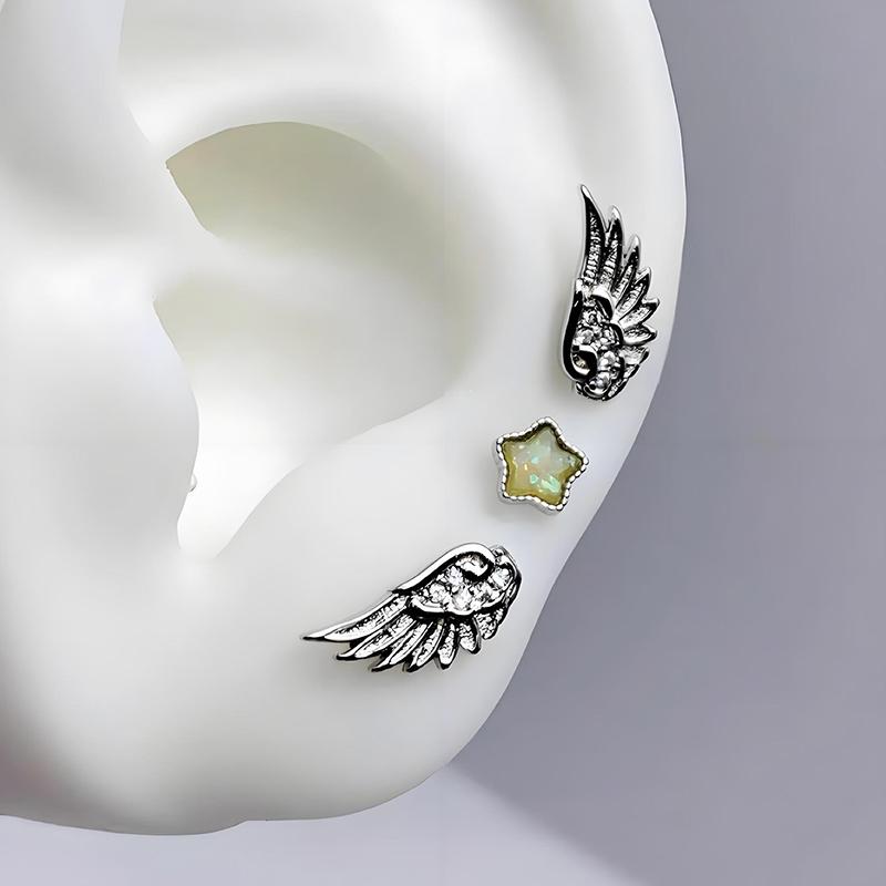 Новая Мода Крылья Нержавеющая Сталь Гвоздик для Пирсинга Уха Блестящая Трендовая Серьга для Женщин Аксессуар