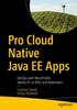 Книга Pro Cloud Native Java EE Apps : DevOps with MicroProfile, Jakarta EE 10 APIs, and Kubernetes