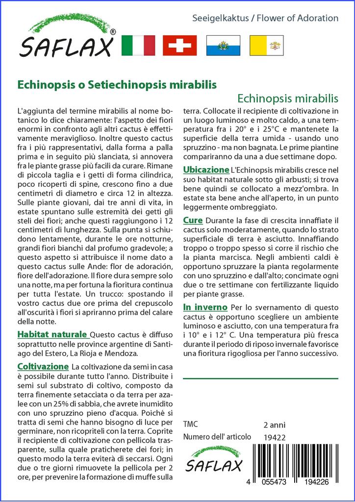 SAFLAX Garden in the Bag - Flower of Adoration - 40 семян - С субстратом в подходящем пакете - Echinopsis mirabilis