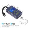 Digital Scales Luggage Scale Load 50kg-10g LCD Mini Protable Pocket Fishing Scale Electronic Hanging Travel Pocket Scale Luggage Scales Weights Tool