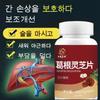 1+1 Galgeunyoung Designated Liver Protection, Fatigue Recovery Nutritional Supplement, Good Medicine for Kidneys, Liver Protector, 40ml, 2 Units