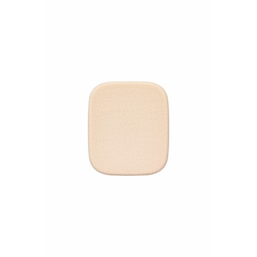 KATE Kate Skin Cover Filter Foundation 02 Standard Skin 13g (x 1)