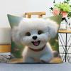 Pet Dog Print Decorative Pillowcase Bedroom Living Room Square Cushion Pillowcase