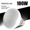 UVA Лампа дневного и ночного обогрева для рептилий для ящериц, черепах и террариума