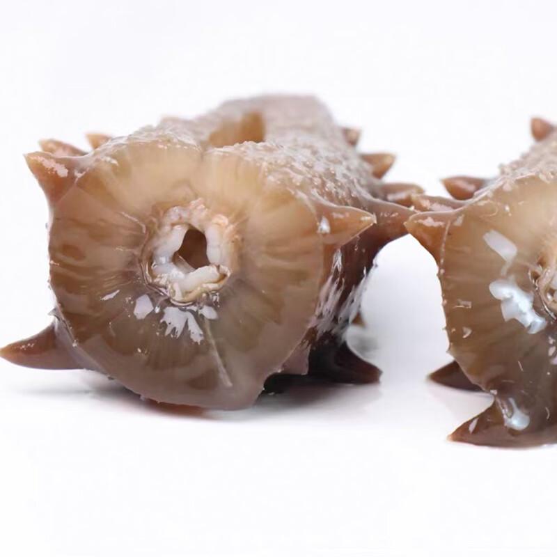 Saionfu Dried Sea Cucumber Gift Box
