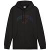 Ess+ Logo LAB Gradient Hoodie warmCELL Black
