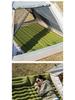 Outdoor Double Camping Inflatable Pad with Foot Pump - Moisture-Proof, Thickened TPU Air Mattress