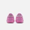 Nike NIKE TERRA MANTA SUEDE Женская спортивная обувь IO7802