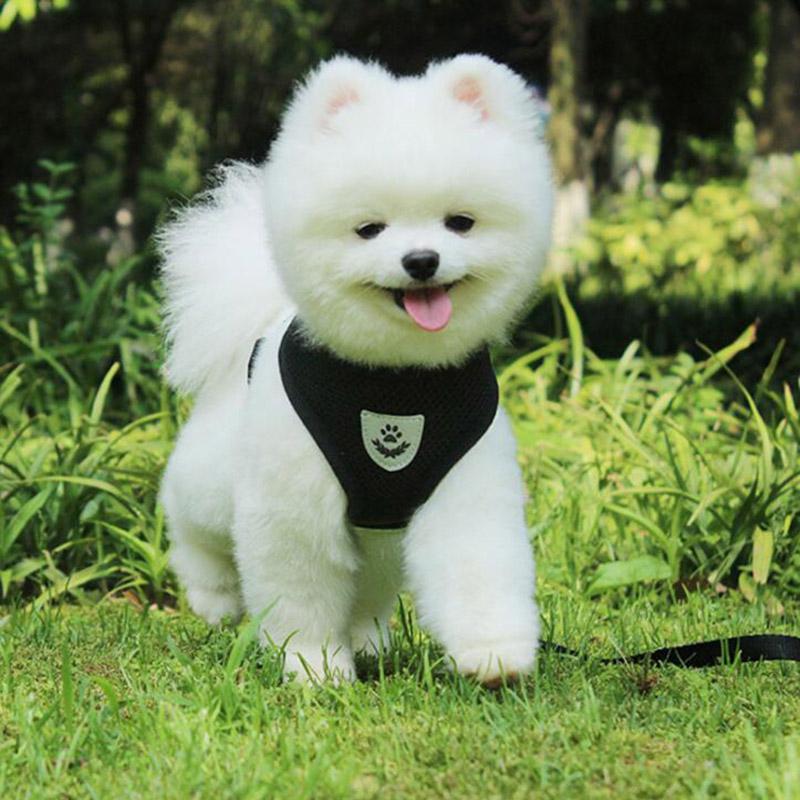 Dogs Harness with Leash Set Breathable for Small and Large Dog Harness Vest Puppy Chihuahua Cat Harness Vest Arnes Para