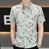 Summer Short-sleeved Shirt Men's Slim Senior Sense of Business Non-iron Striped Short-sleeved Shirt Hairstylist Tide Men's Clothing