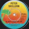7-дюймовая пластинка PETER SKELLERN Oh What A Night For Love WIP6300 ISLAND RECORDS 1976 UK Поп Б/у