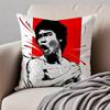 Chinese martial arts star JJackie Chan Cushion Cover Pillowcase Antidustmite Invisible Zipper Short Plush Sofa Cushion