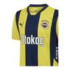 Фенербахе - желто-темно-синяя домашняя майка нового сезона с стержнями