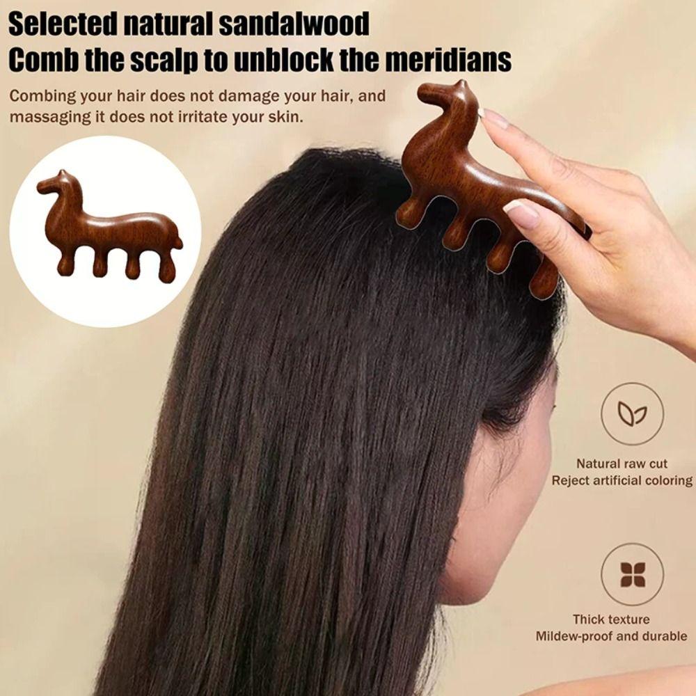 Zodiac Horse Scalp Point Massage Brush Coarse Tooth Body Meridian Massage Comb  Health Maintenance