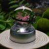 Cute Cartoon  Pikachu Gengar Charizard Crystal Elf Ball Indoor Creative Night Light Decoration Friend's Holiday Gift