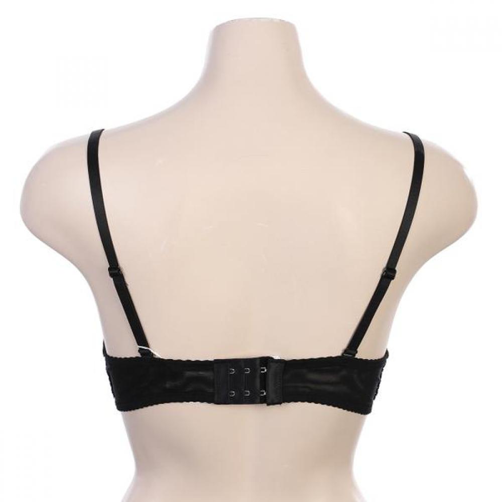 Barbara 2color Lace Mold Bra Abr4455
