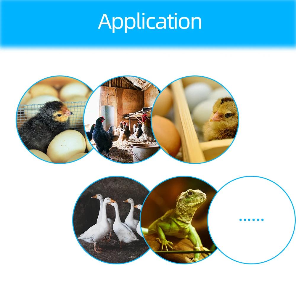 XM-18 Интеллектуальный цифровой контроллер инкубатора для яиц Многофункциональный датчик постоянной температуры и влажности Контрольный зонд для инкубатора для яиц