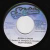 7inch Record BUSY SIGNAL - Born & Grow NONE Stainless Recor Jamaica Reggae, Ska & Dub Used