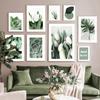 Tulip Flowers Cactus Agave Monstera Leaves Plant Wall Art Prints Canvas Painting Nordic Poster Decor Pictures For Living Room