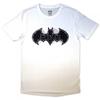 Batman Unisex Adult Bat Skull & Cobwebs T-Shirt