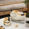 Cute Cat Tissue Box Ceramic Paper Storage Holder Home Storage Supplies Napkin Organizer  Gift