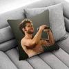Singer N-Niall H-Horan Throw Pillow Case For 55X55Cm 30X30Cm 50X50Cm 45X45Cm 40X40Cm Square Chair Pillowcase Case