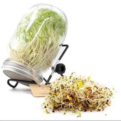 Банка для проращивания Mason Jar из нержавеющей стали, 32 унции, с широким горлом и держателем для сетки-фильтра