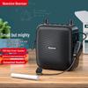 Портативный беспроводной мегафон и Bluetooth-динамик Newmen U-228, штекер CN (адаптер в комплекте)