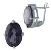 Silver Earrings with Alexandrite 12.93ct (1994382)
