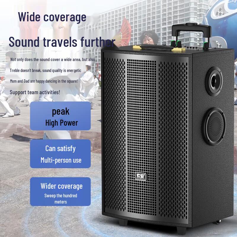 Suoai 12-inch Portable Bluetooth Karaoke Speaker with Dual Microphones