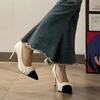 Niche Temperament Celebrity High Heels Design Sense Autumn New Pointed Head Color Matching Single Shoes Stiletto