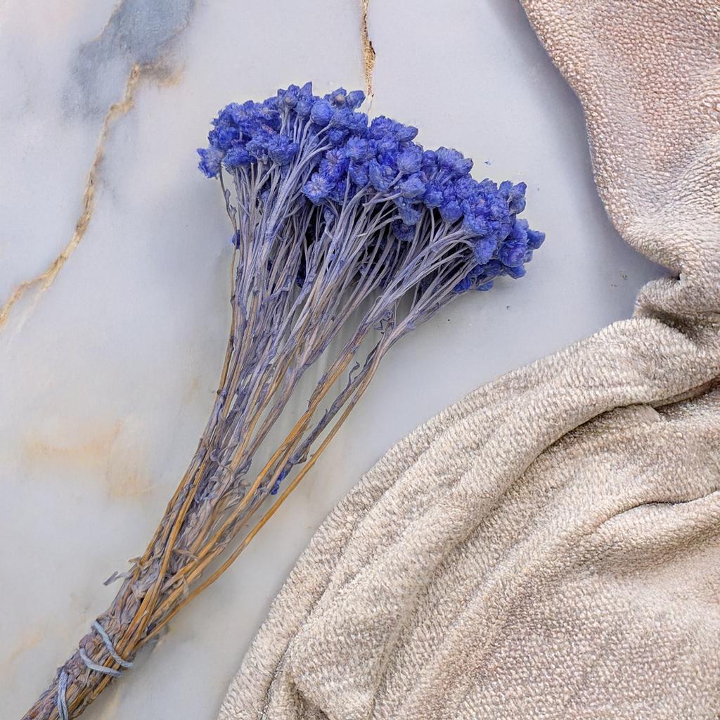 Dried Italian Helichrysum - (Helichrysum Italicum) - Lavender