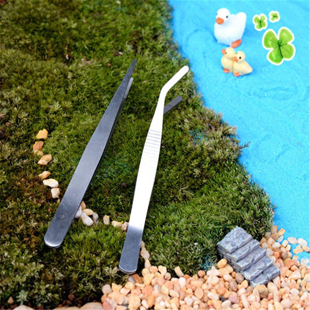 Supplies Garden Tool DIY Accessory Anti-Static Bonsai Tweezer Stainless Steel Micro Landscape