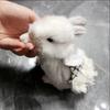 Модная Регулируемая Шлейка для Кролика Уличная Удобный Поводок-Костюм для Питомца Клетчатое Кроличье Платье Без Рукавов Уличное
