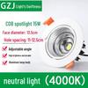 Recessed 20W Spotlight Downlight for Clothing Stores, 15-30W Commercial Ceiling Light