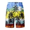 Men's Fashion Printed Strapped Hawaiian Beach Fit Sport Casual Shorts Pants