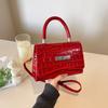 Bag Women's Bag 2025 New Trendy Fashion Lock Shoulder Bag Crossbody Bag Women's Simple Texture Portable Small Square Bag