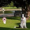 New "No Dog Poop"Plastic Sign No Pooping Warning Yard Sign Garden Stake Outdoor Waterproof Warning For Pet Owners Prevent Pollut