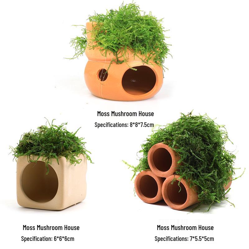 Aquatic Plant Moss Hideaway: Real Plant Jar for Fish & Shrimp
