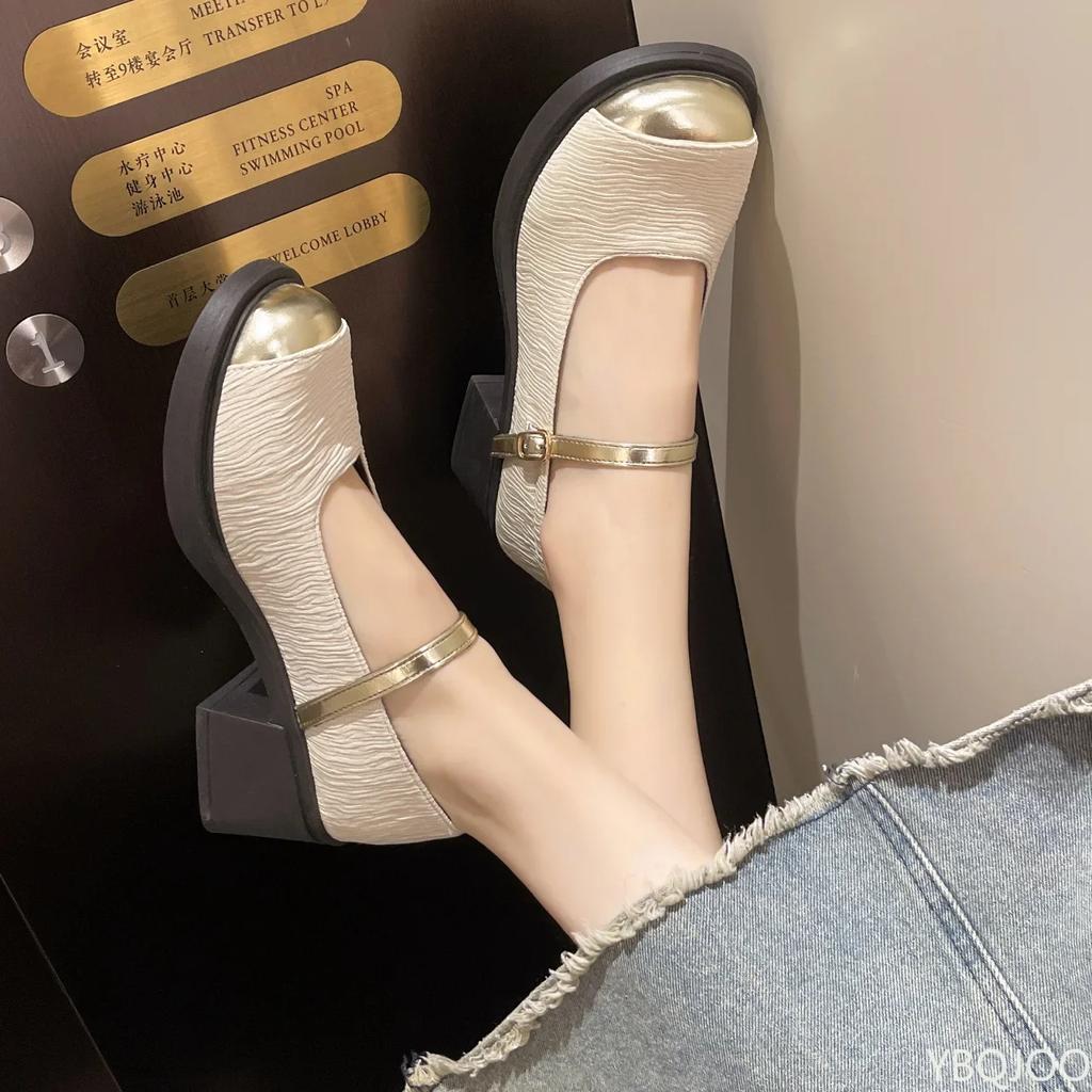 Summer Retro Low Heel Mary Janes Women Shoes Fashion Buckle Thick Heels Pumps Woman Round Toe Party Dress Shoes2024