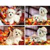 Алмазная картина Полная квадратная собака Вышивка крестом Животное Стразы Подарок Домашний Декор 5d Diy Ручная работа Настенное Искусство