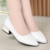 Soft Leather Rough Heel Single Shoes Women's Summer New Pointed Low Heel Women's Shoes White Work Shoes Women's Leather Shoes