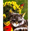 Алмазная вышивка животное кошка DIY полная круглая алмазная живопись вышивка крестом