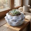 3D Printed Plastic Nursery Pots Lotus Shaped Jewelry Storage Box Succulent Plant Pot  Garden