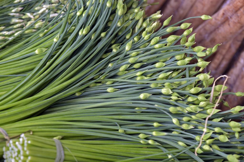 SAFLAX Garden in the Bag - Органический - Чеснок-Шнитт-лук - 100 семян - С субстратом в подходящем пакете - Allium Tuberosum